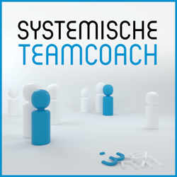 Systemische Teamcoach